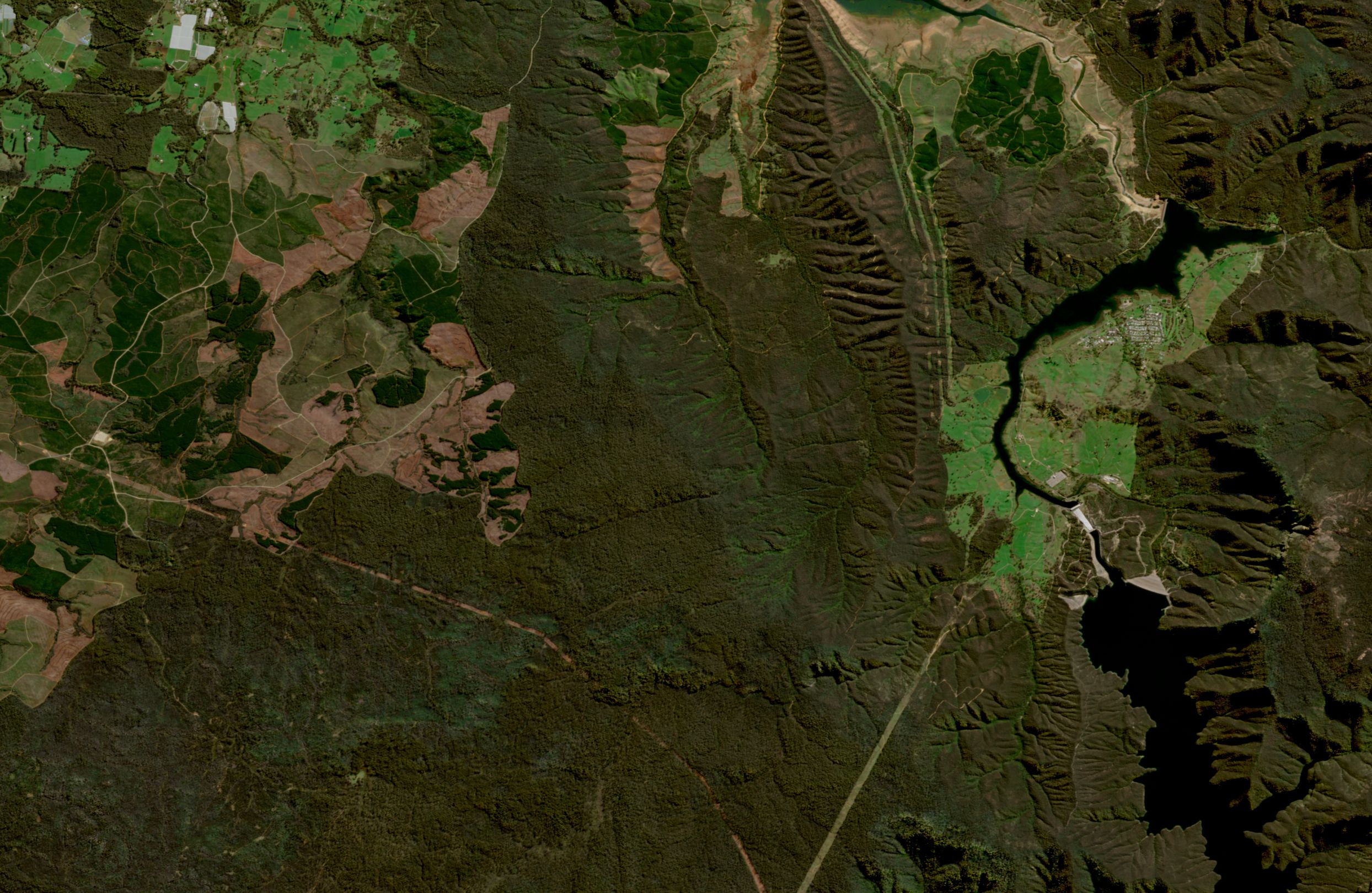 Tumut to Blowering, Sentinel-2 natural colour mosaic with terrain contours; closed forest shown in green false colour; the reservoir, the township, the dams and two existing transmission easements are marked over it.